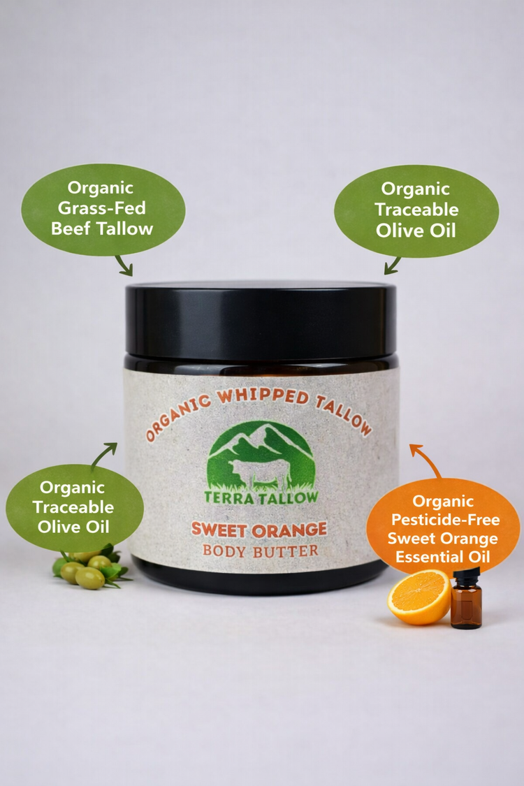 Sweet Orange Organic Whipped Tallow Body Butter