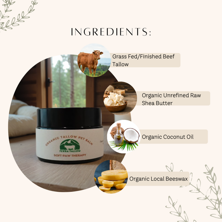 Soft Paw Therapy Organic Tallow Pet Balm
