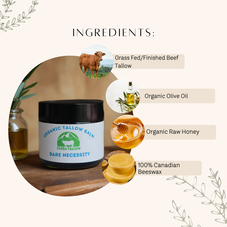 Bare Necessity Organic Tallow Balm