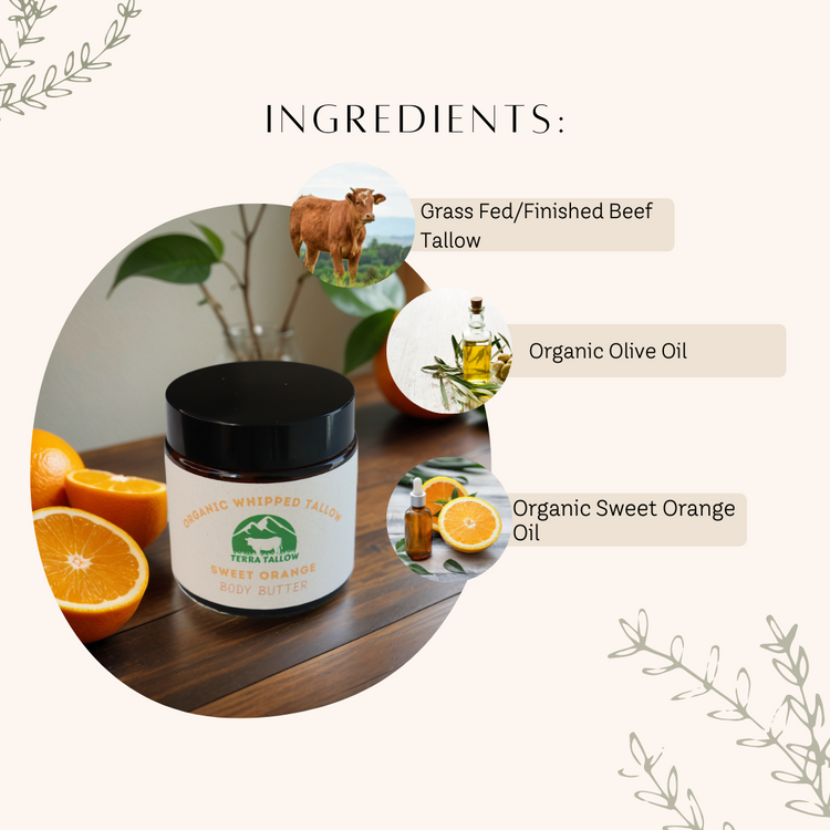Sweet Orange Organic Whipped Tallow Body Butter