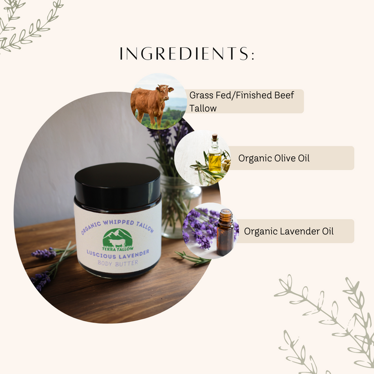 Luscious Lavender Organic Whipped Tallow Body Butter