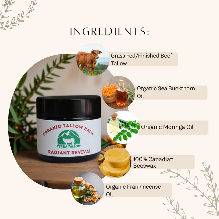 Radiant Revival Organic Tallow Balm