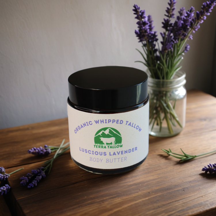 Luscious Lavender Organic Whipped Tallow Body Butter